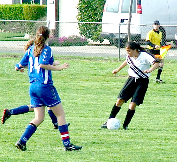 DSCF3144